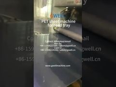 Maszyna do wytłaczania arkuszy PET z materiałów w 100% z recyklingu do tacy nasion